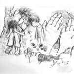 13 Parula Final 1 150x150