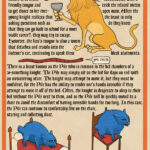 Bestiary Anthology P2 150x150