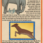 Bestiary Anthology P4 150x150