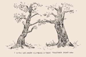 Climbing Tree Postcard Final 300x200