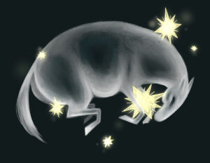 Star Horse Final 300x232