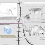 Wolves And Talking 2 150x150