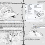 Wolves And Talking 3 150x150